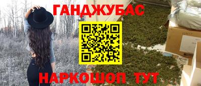 сатива Новозыбков