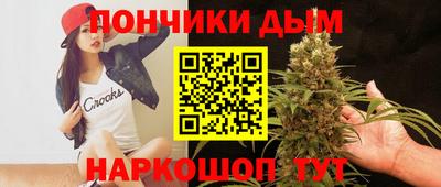 сатива Новозыбков