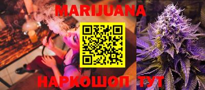 сатива Новозыбков