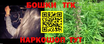 сатива Новозыбков