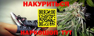 сатива Новозыбков