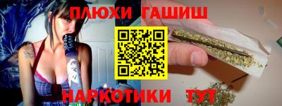 сатива Новозыбков